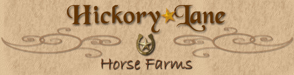 Quarter Horse Stallion Hickory Lane Horse Farms New London Missouri